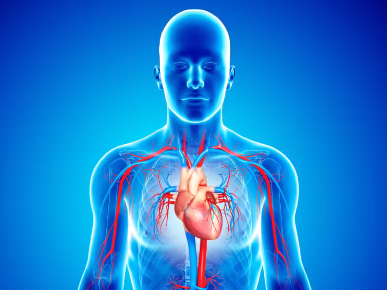 cardiovascular